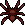 Sarachnis